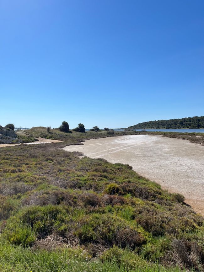 Peyriac-de-Mer