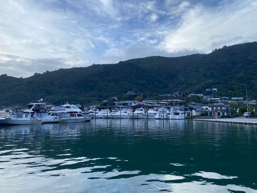 Off to the North Island