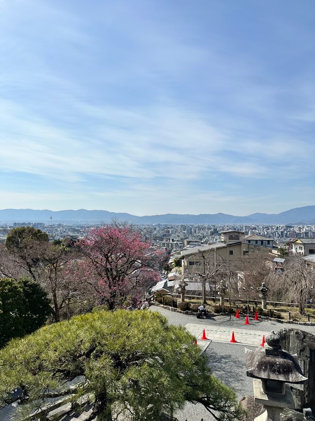 Gurke, Matcha, Süßkartoffel: Auf Entdeckungsreise durch Kyoto