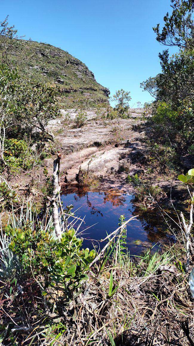 Brasilien Nationalpark Diamantes Teil I