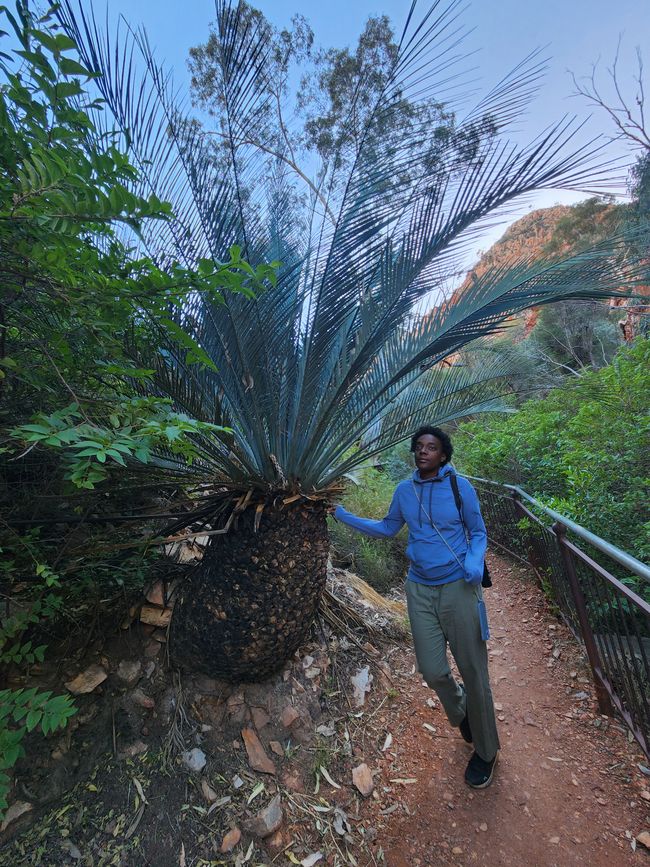 Tag 10, 4. May, Ormiston Gorge im West MacDonnel National Park