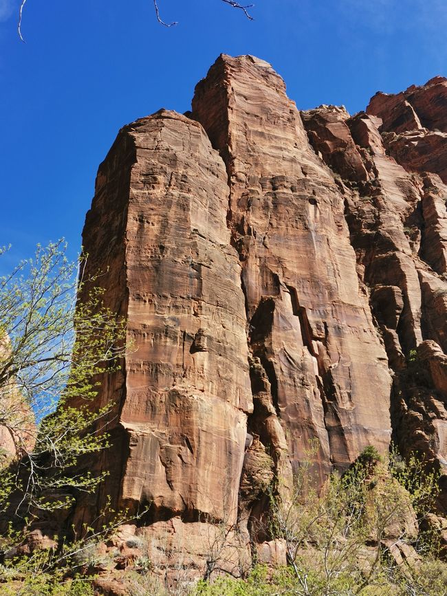 Grand Canyon... und mehr... 