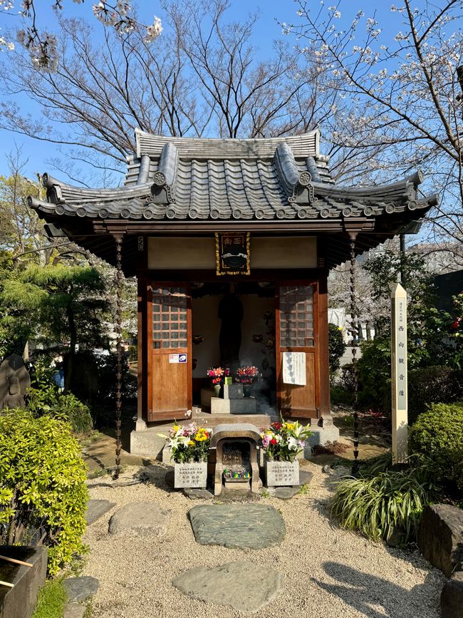 Parte 7
BENVENUTO IN GIAPPONE 🇯🇵
TOKYO