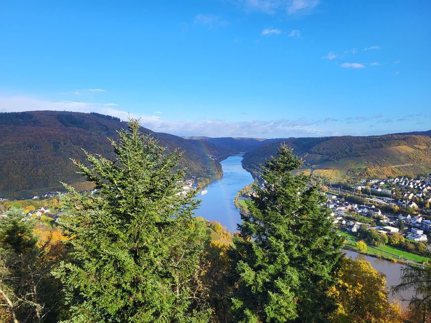 Blick vom Aussichtsturm Prinzenkopf