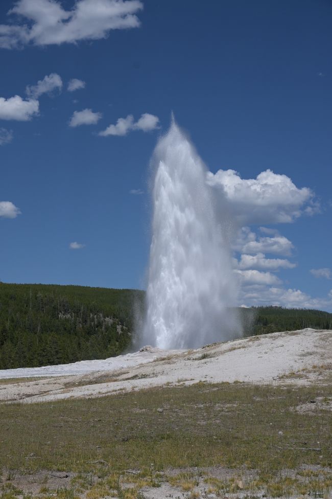 Bassin supérieur des geysers - Geyser Old Faithful