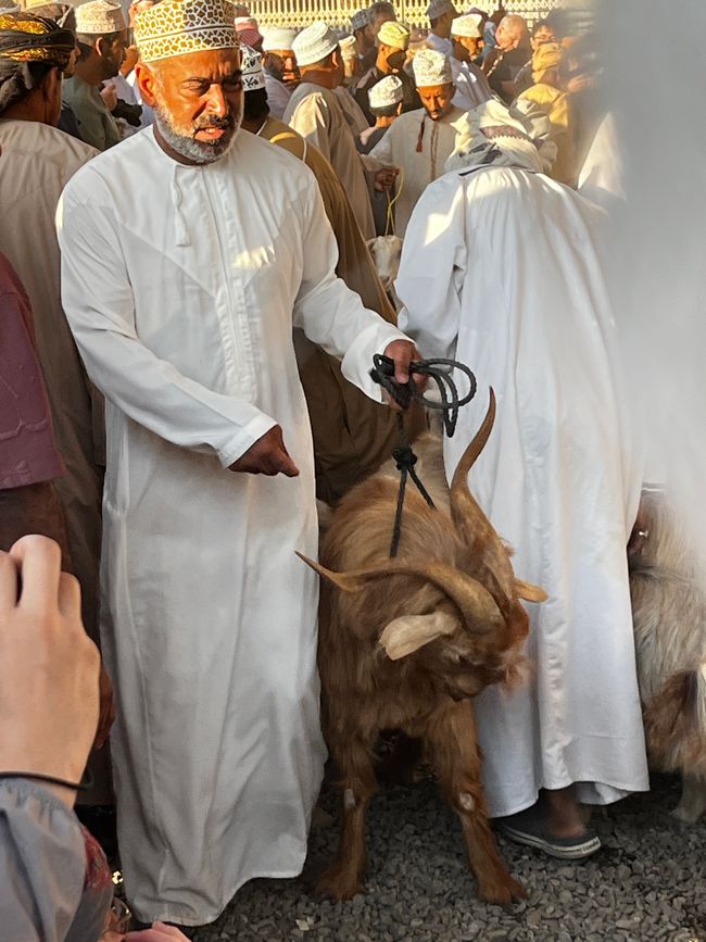 Nizwa