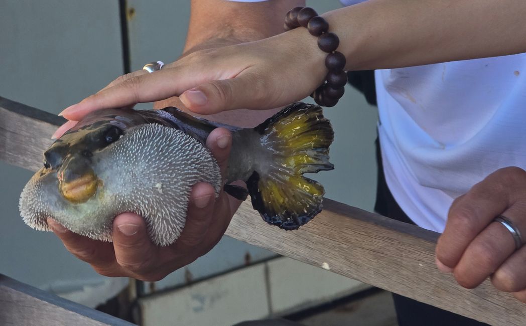Langkawi - Reif für die Insel!