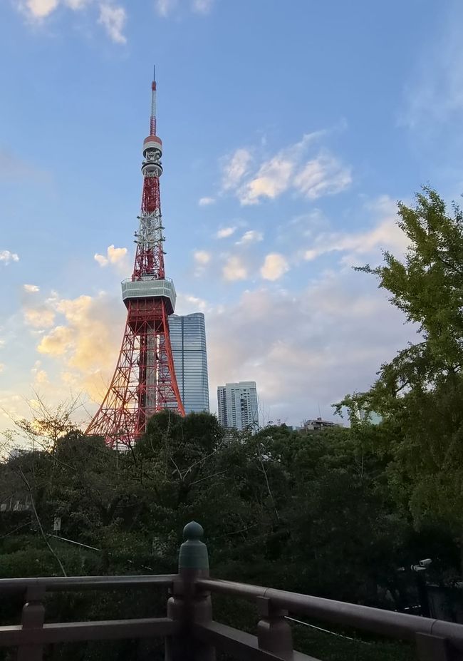 Tokyo Tower e Tempio Buddista Zojo-ji