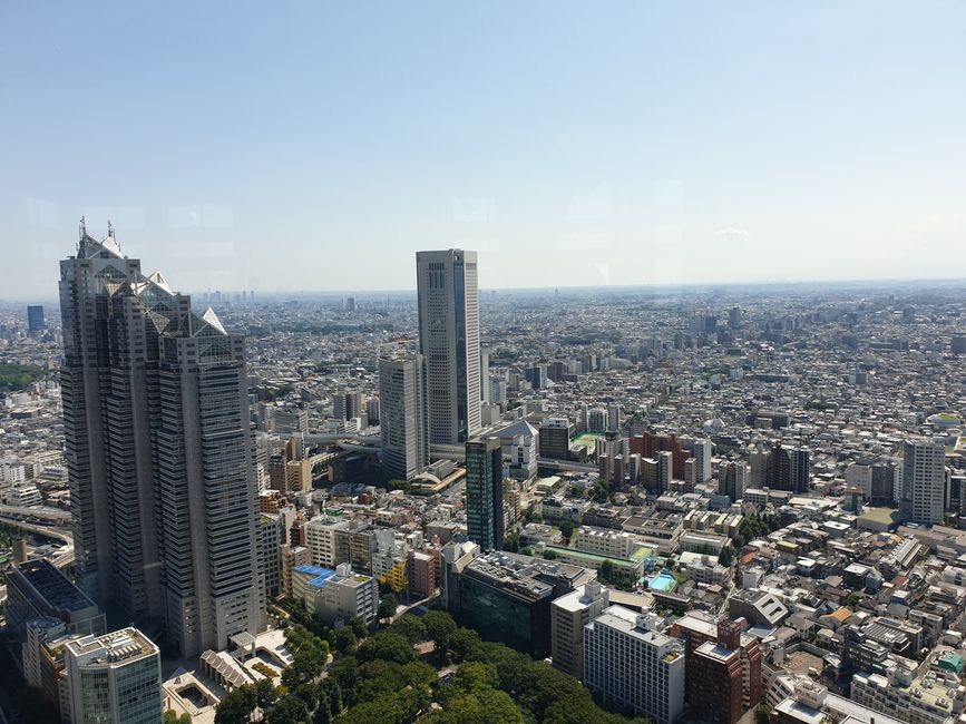 Tokyo from above