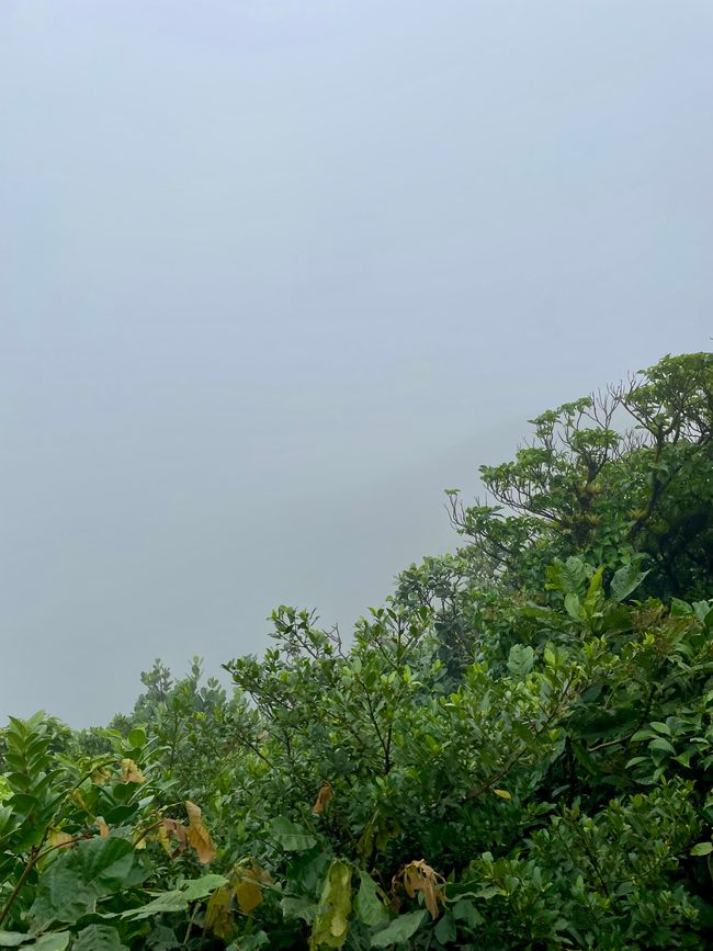 el sendero
