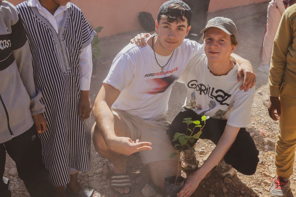 Day 12 (10.10): Planting Trees