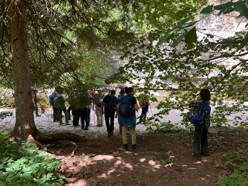 28 Wutachschlucht Pro Wolermoos