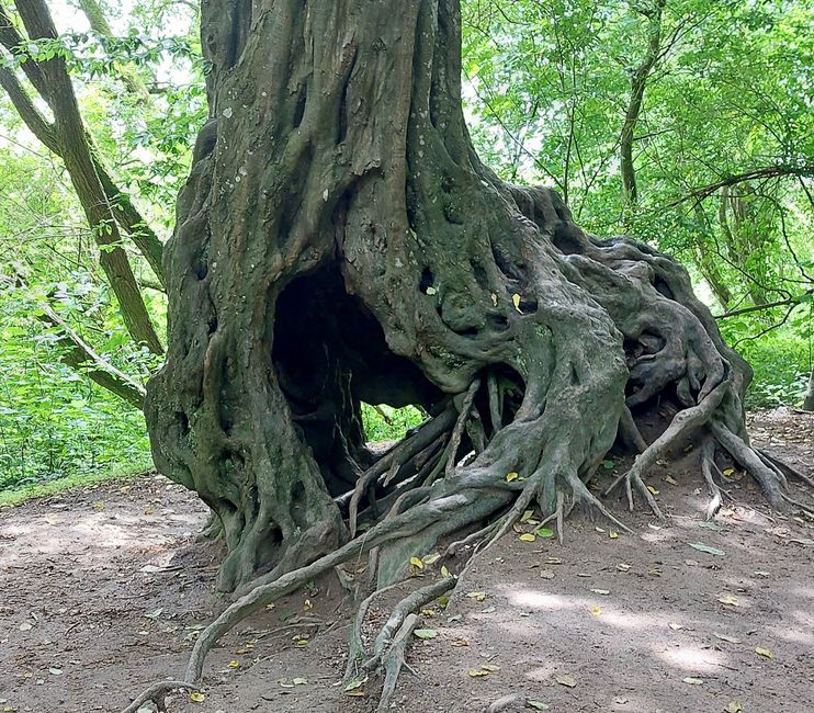 Südschweden-Tour  - Tag 28