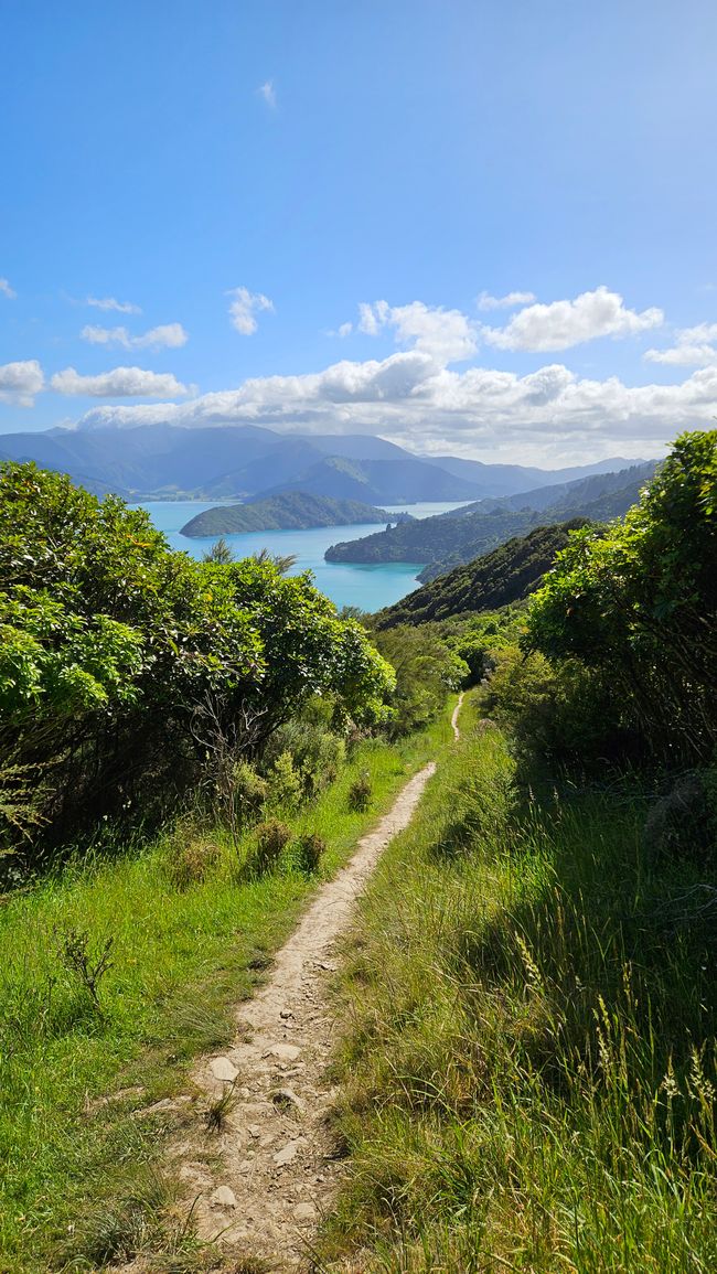 Picton - Queen Charlotte Track