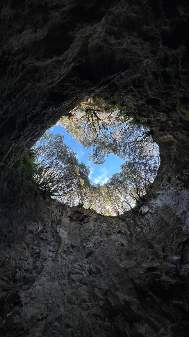 Bootstour entlang der Küste von Whitianga bis zur Cathedral Cove