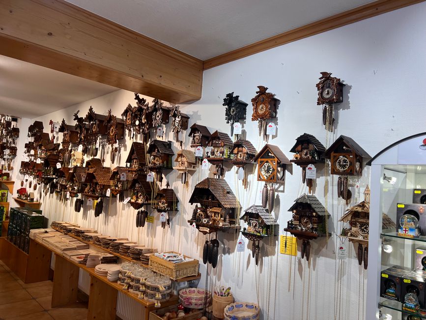 25a Wanderung um den Titisee