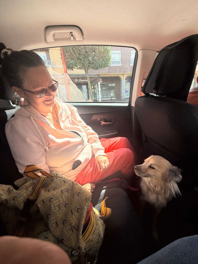 Pipo almost fell asleep during the taxi ride.