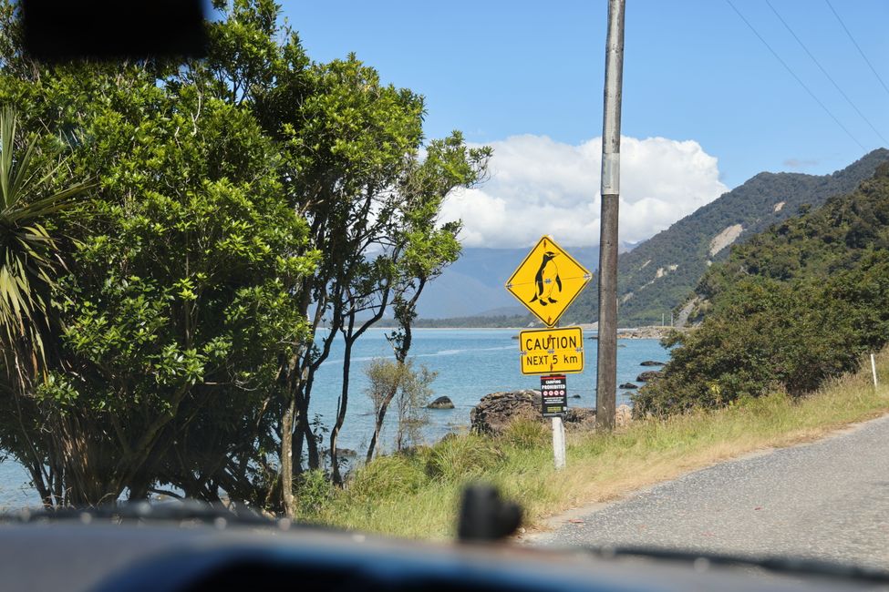 West Coast bis Jackson Bay