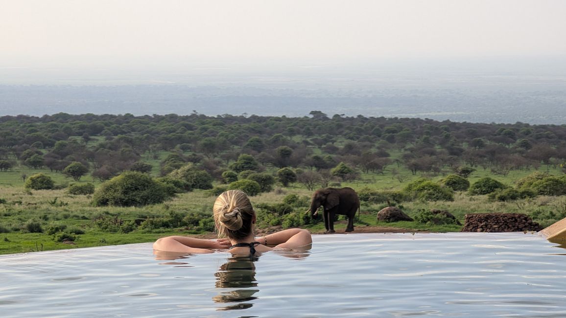 Amboseli und Tsavo West
