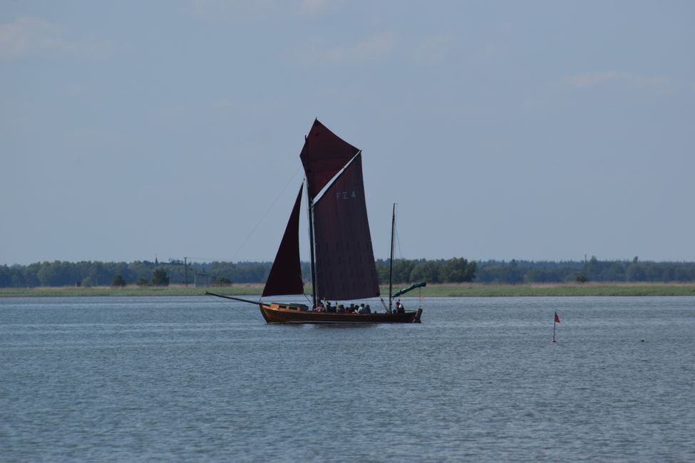 Darß und Fischland im Mai 2018