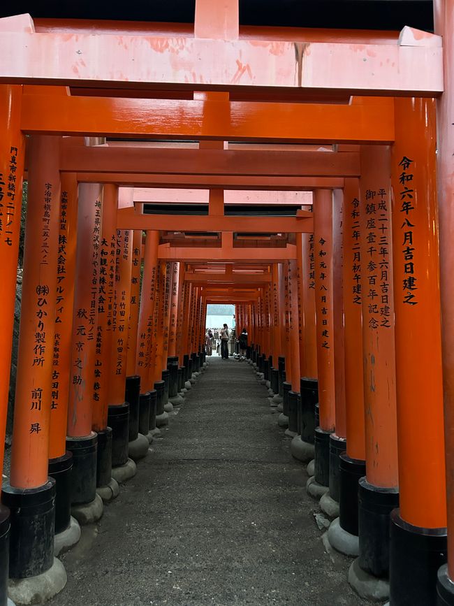 Kyoto - Days 6-9
