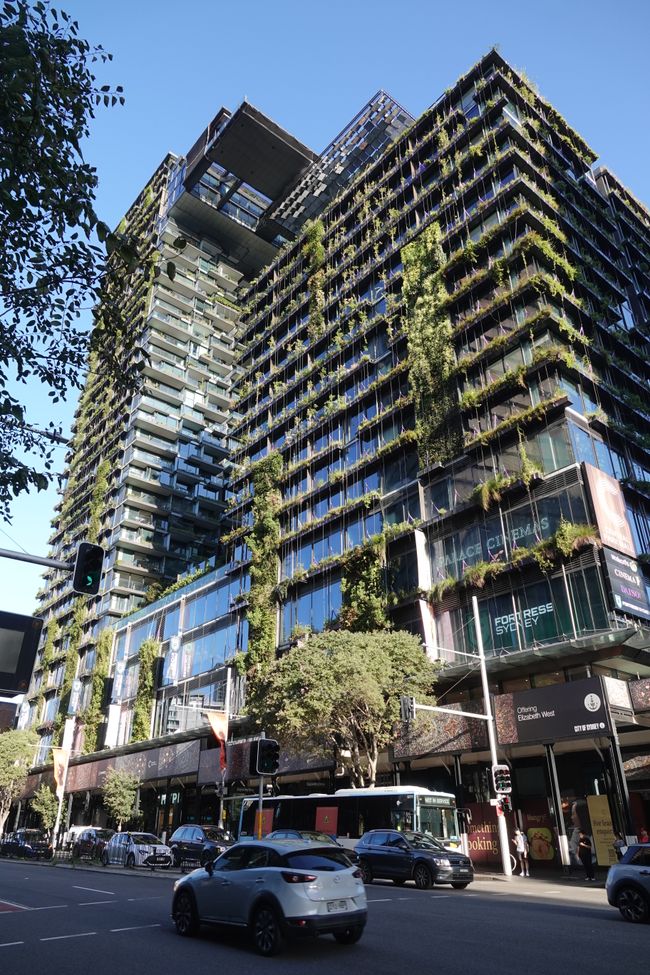 Sydney kann auch "grün"