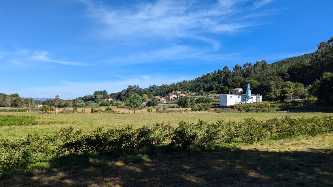 Twelfth Stage Camino Portugues from Caldas de Reis to Padron