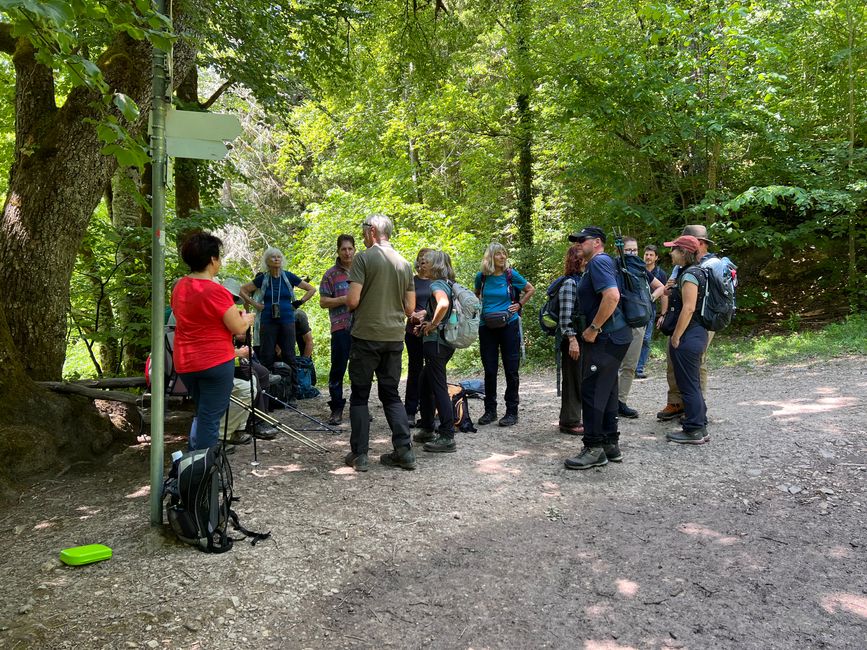 28 Wutachschlucht Pro Wolermoos