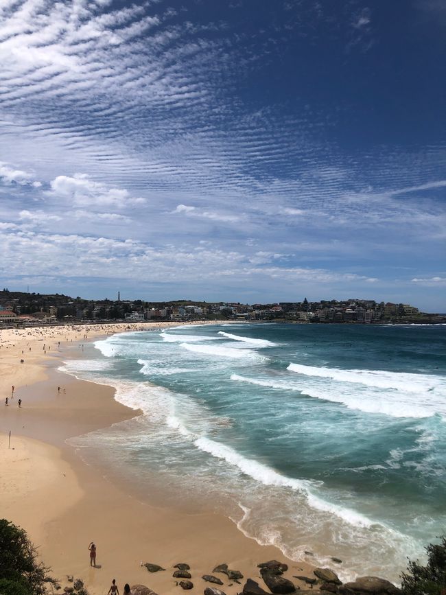 ... la migliore spiaggia di Sydney ...