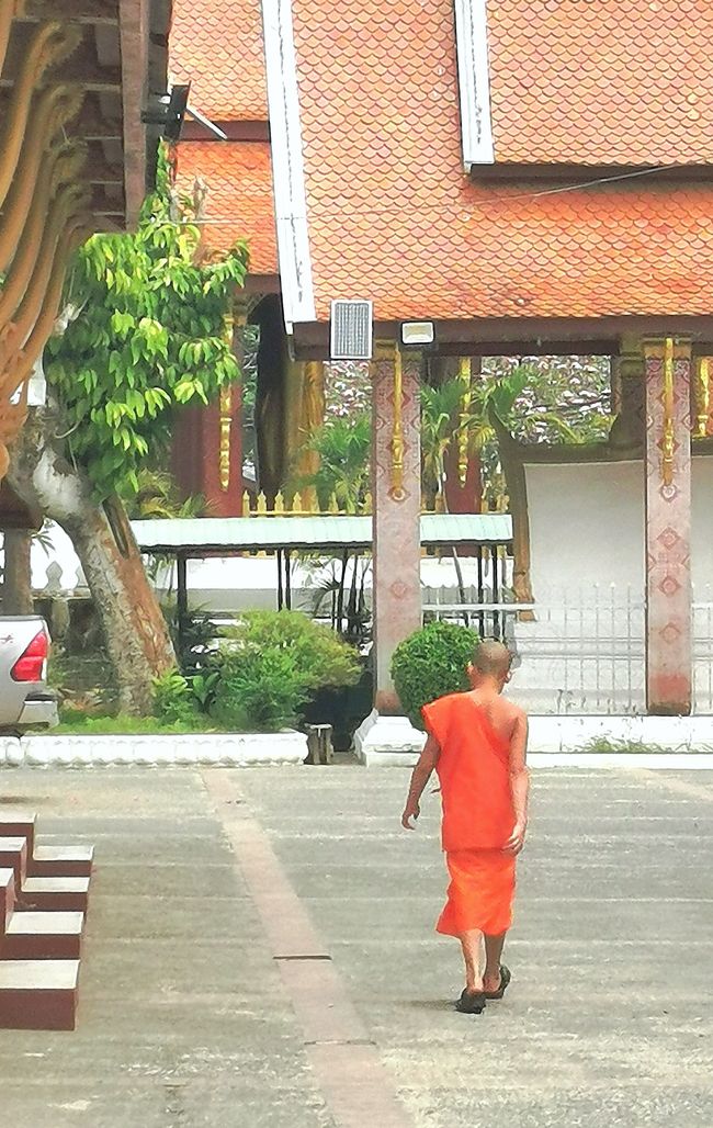 Entry to Laos - first temple tour through Luang Prabang