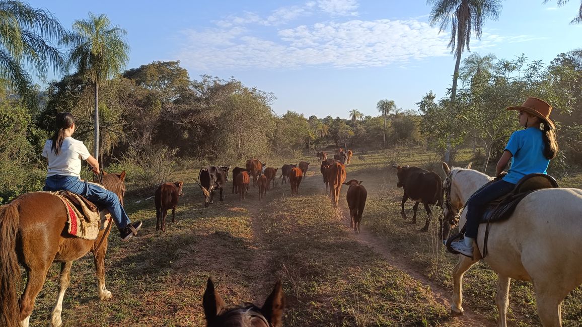 Paraguay_Caacupe_Aventura_Ranch (Juli 2025)