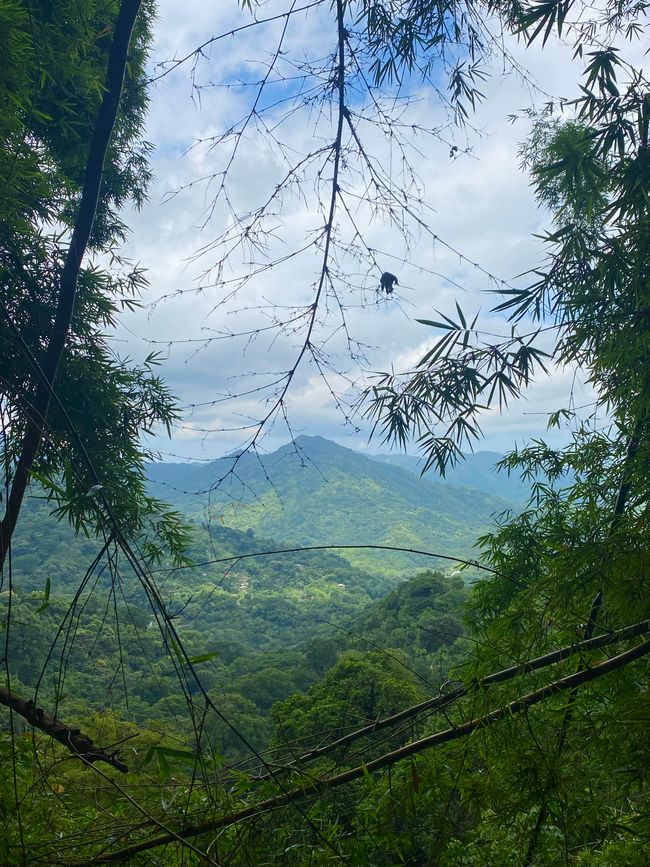 哥伦比亚 🇨🇴
