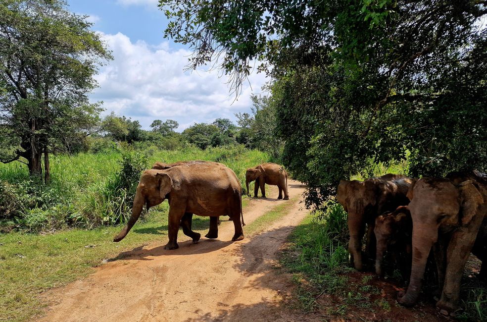 Hurulu Eco Park