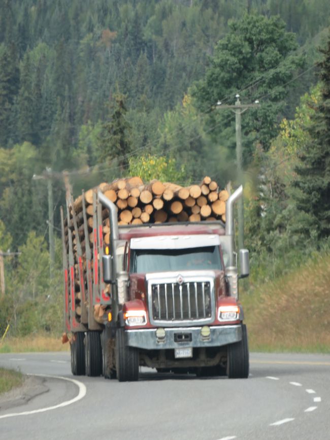 Holztransporter..