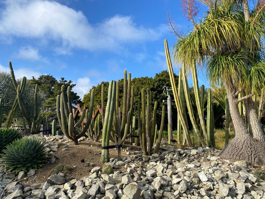De whangarei à auckland