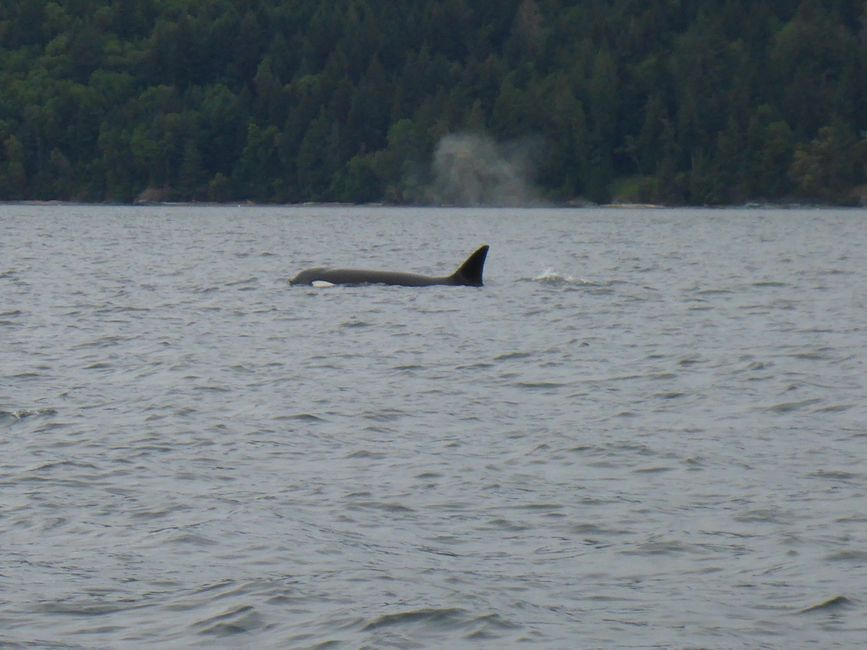 Western Canada