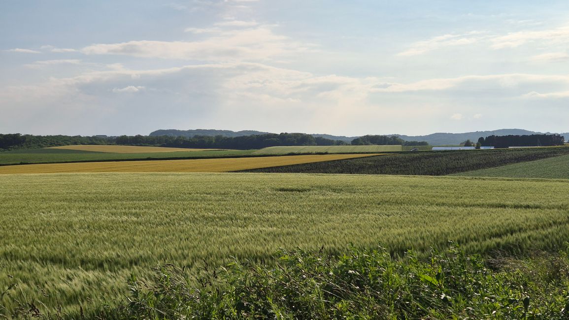 Hokkaido-Roadtrip