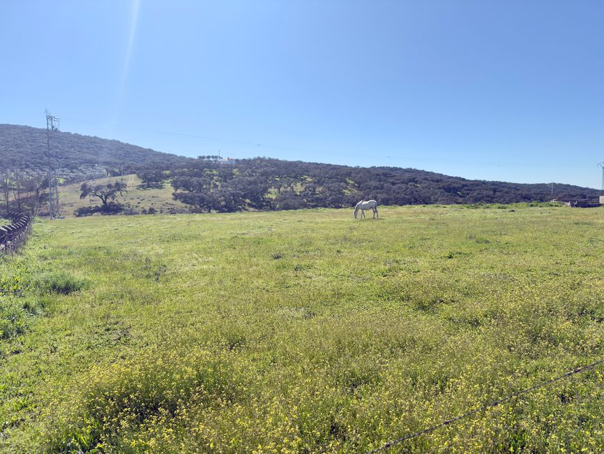 Tomorrow, we will explore the beautiful landscape around us.