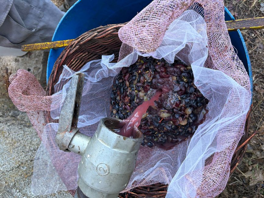 Φτιάξε κρασί (Wein machen)