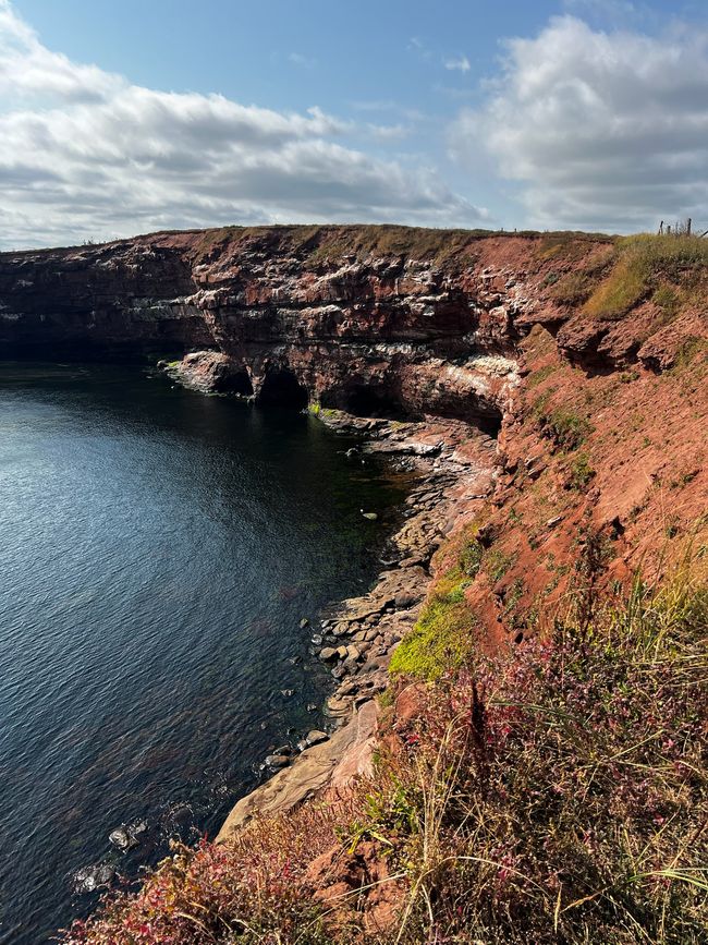 Île-du-Prince-Édouard