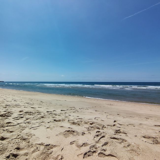 Espinho