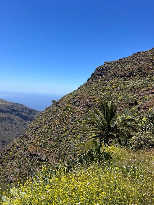 Airbnb view