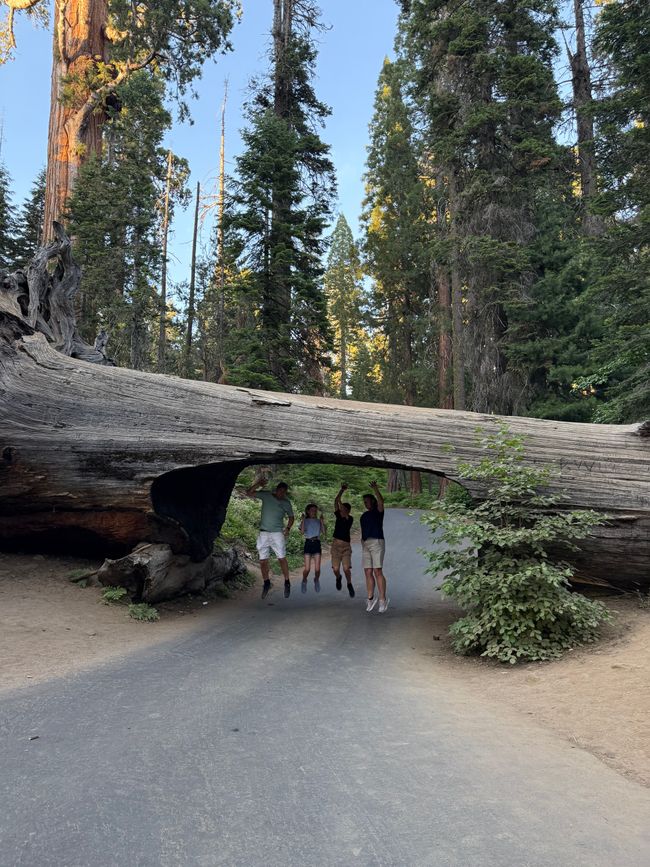 Sequoia Nationalpark