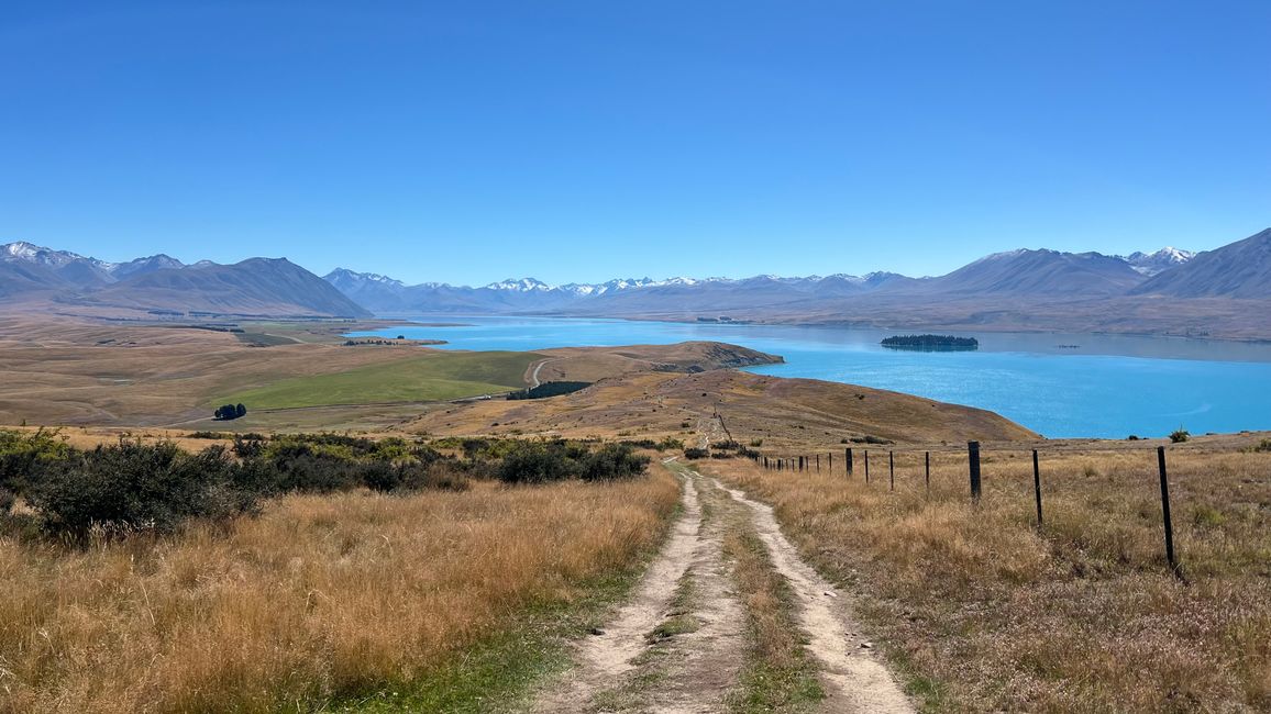 Mount John Track
