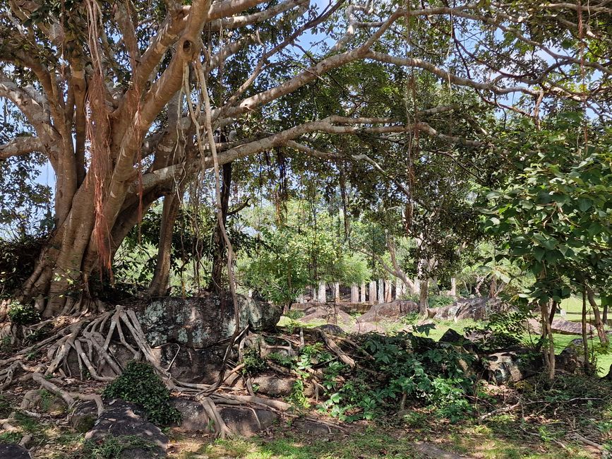 Polonnaruwa - 1000 Jahre Geschichte und dabei was gelernt.