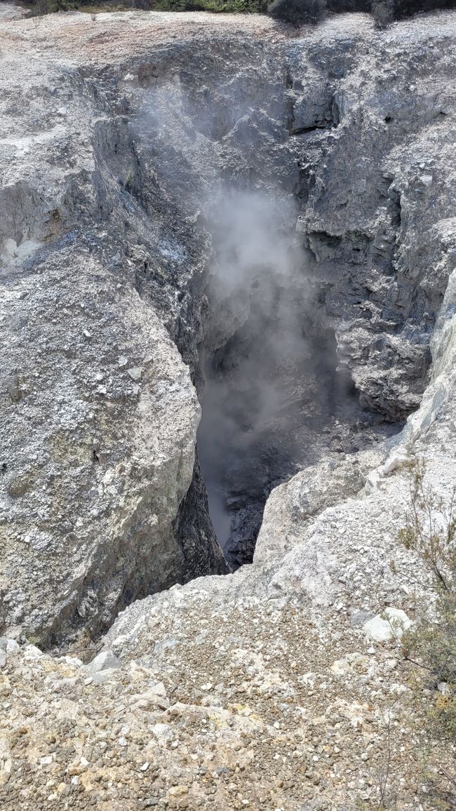 In Wai-O-Tapu National Park and at Lady Knox