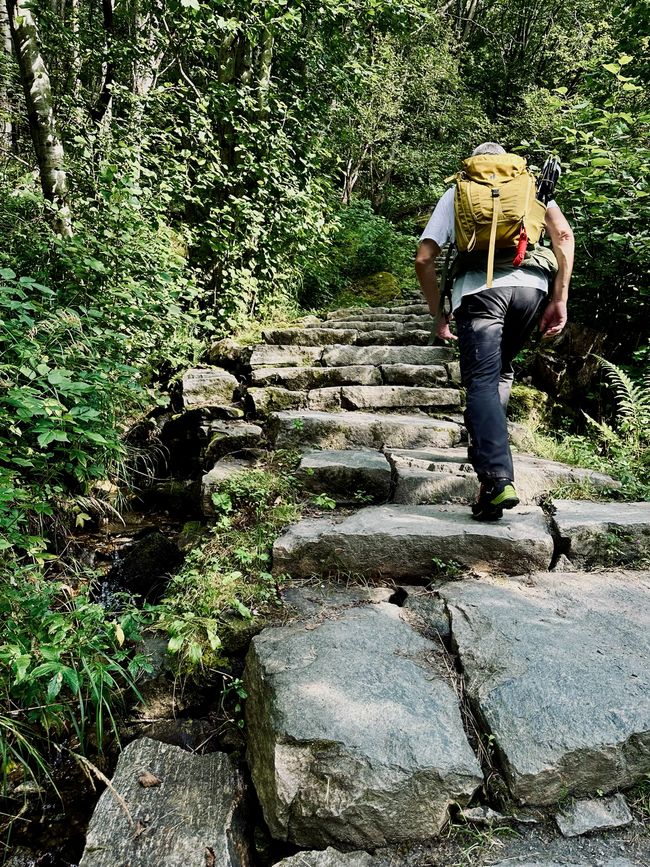 Today's Motto: Steps are meant to be climbed