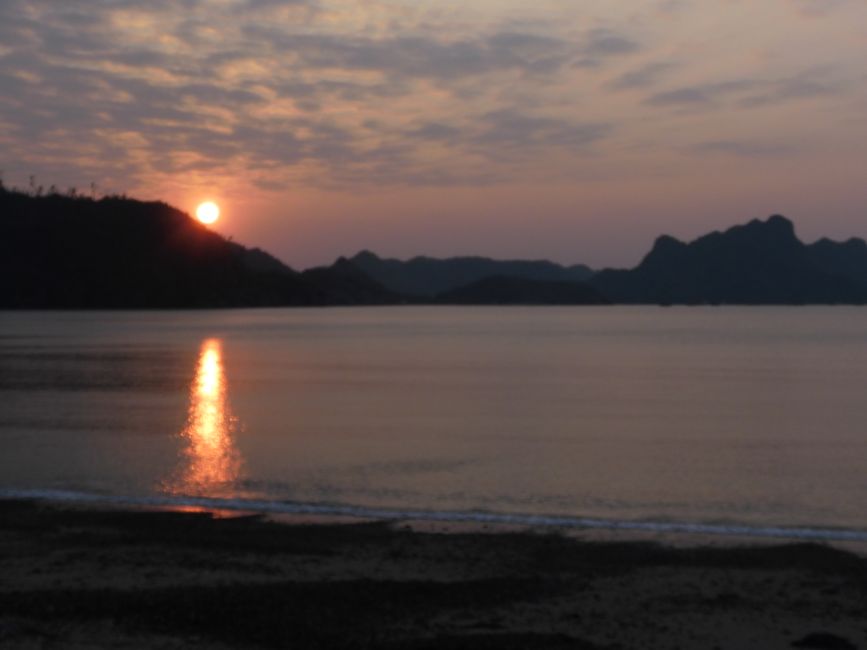 2025-01-11 Cat Ba, Vietnam