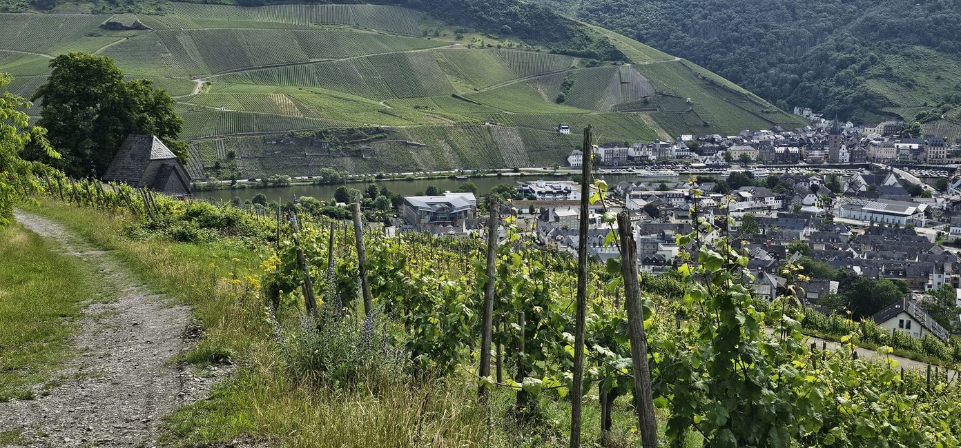 Cochem on the Moselle