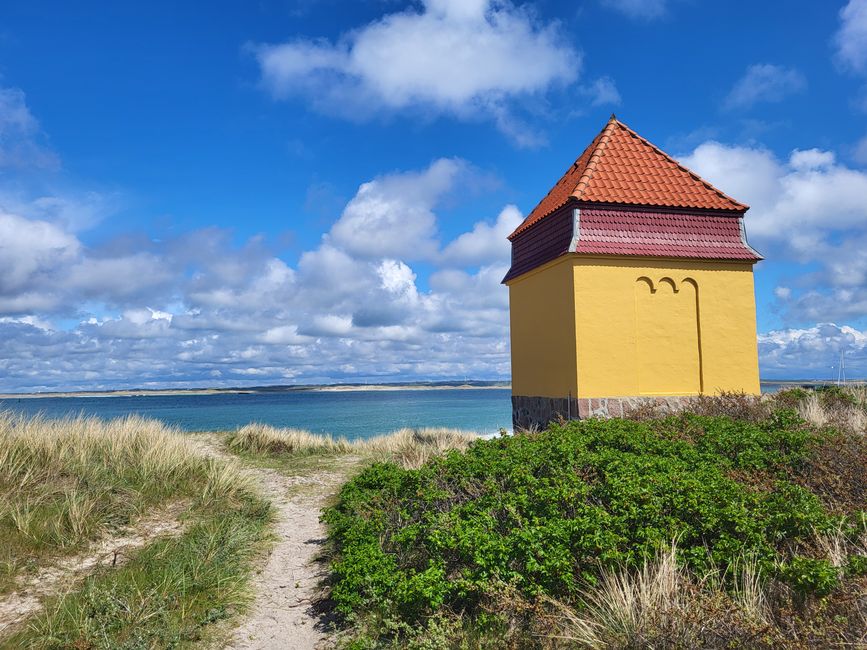 你的国家公园，Thyborøn 和北海的海豚之旅